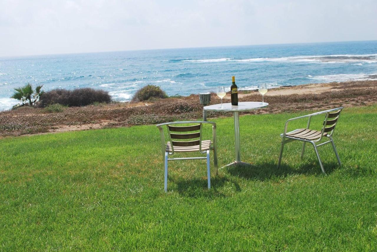 Sea Front Villa, Heated Private Pool, Amazing Location Paphos 323 Кисонерга Екстериор снимка