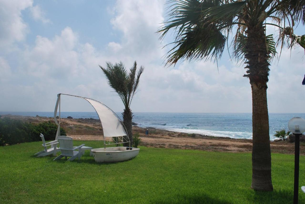 Sea Front Villa, Heated Private Pool, Amazing Location Paphos 323 Кисонерга Екстериор снимка